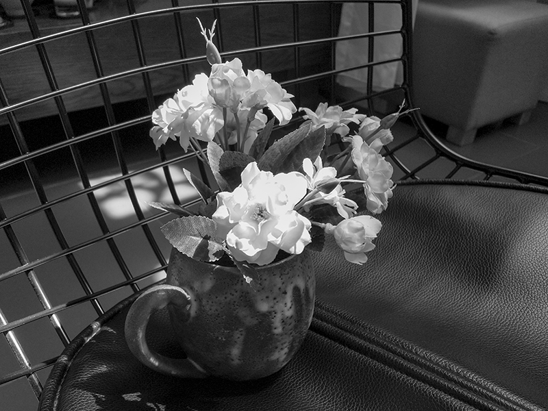 Đánh giá camera Nokia 8 Đánh giá camera Nokia 8