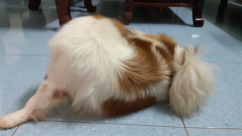 Trải nghiệm nhanh camera Galaxy A8 2018 Trải nghiệm nhanh camera Galaxy A8 2018