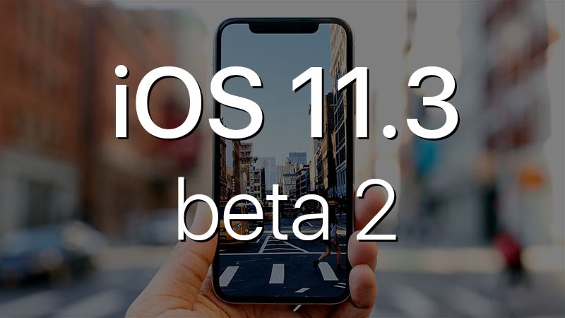 ios 11.3 beta 2