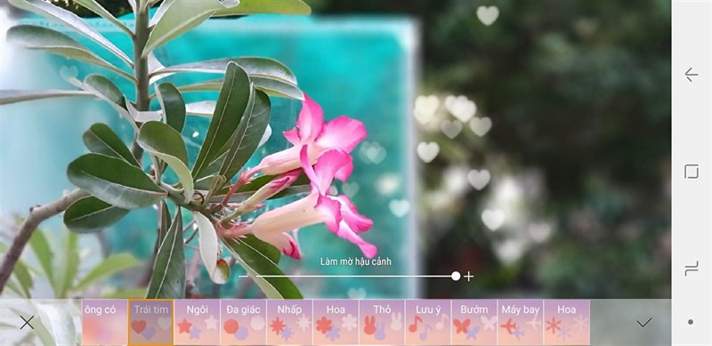 art bokeh art bokeh