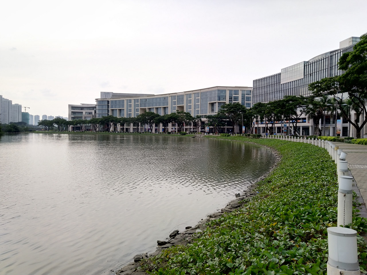 nokia7plus