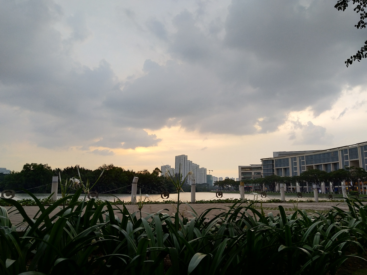 nokia7plus