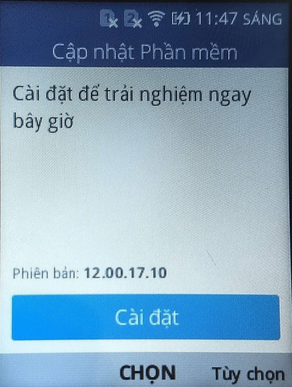 6 6