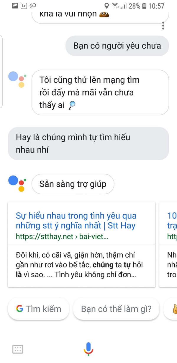 google tiếng việt