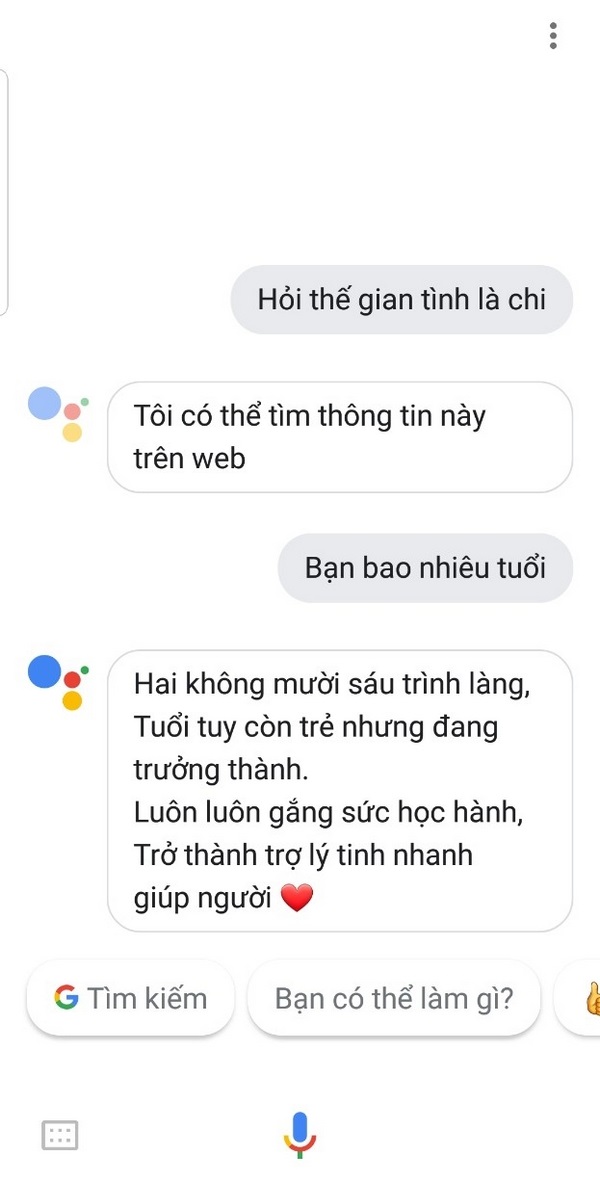 Google tiếng việt