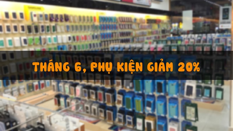 phu-kien-giam-20