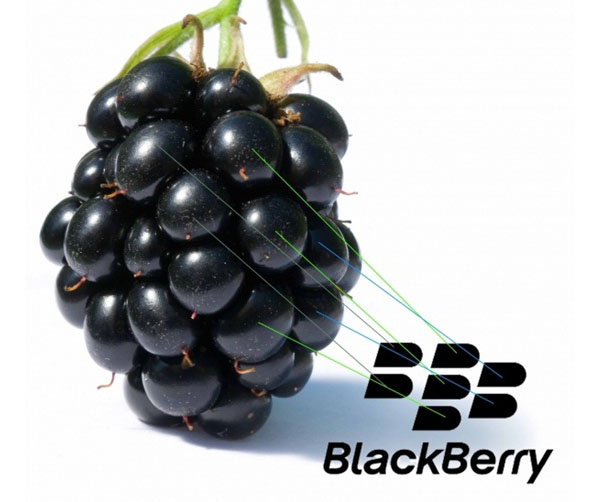 tên gọi blackberry tên gọi blackberry