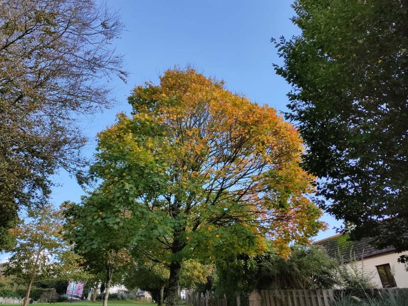 Realme X2 Pro