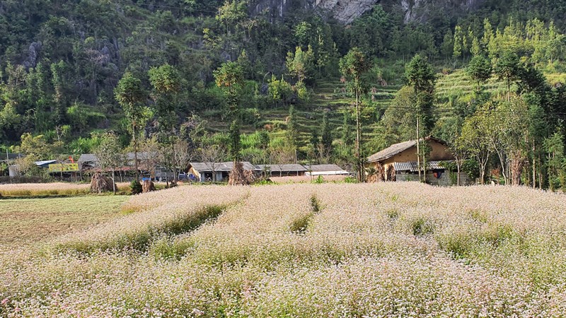 Hà Giang 