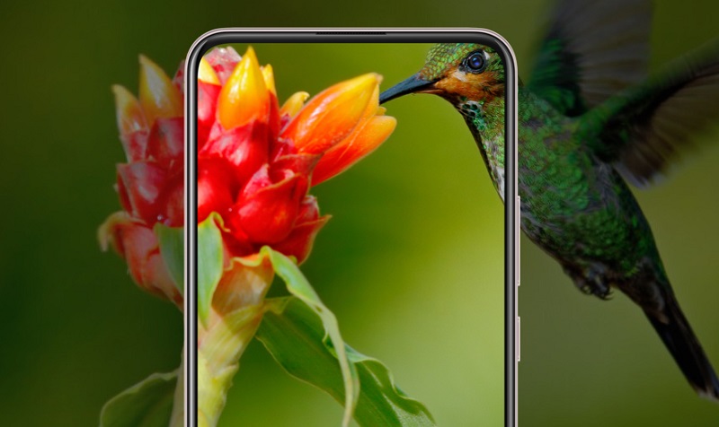 Vivo V17 chính thức ra mắt tại Ấn Độ: Màn hình đục lỗ, cụm 4 camera 48MP hình chữ L, sạc nhanh động cơ kép, giá 7.3 triệu đồng