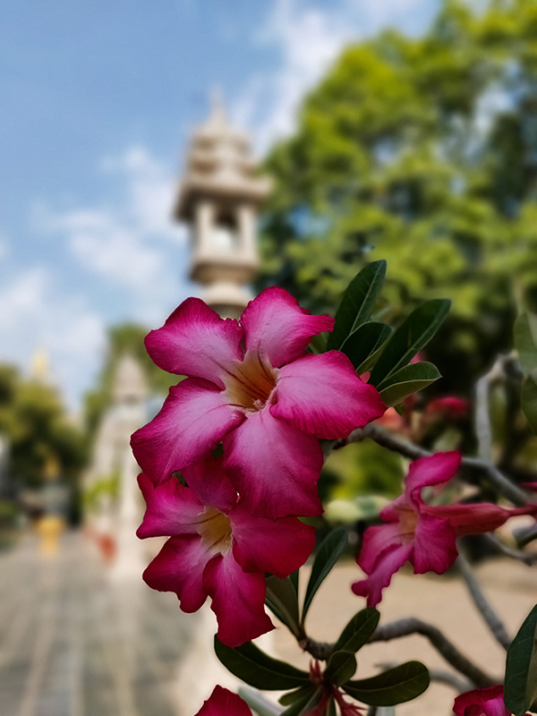 Đánh giá camera OPPO Find X2