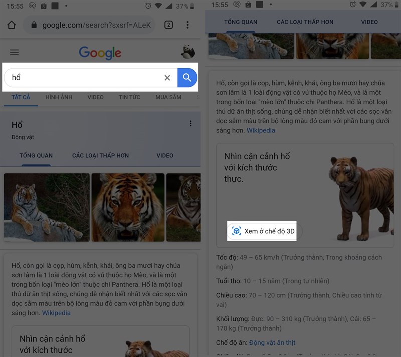 Xem ảnh động vật 3D sống động trên Google