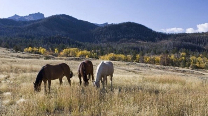 Trang trại tại Wyoming của Cascade Trang trại tại Wyoming của Cascade