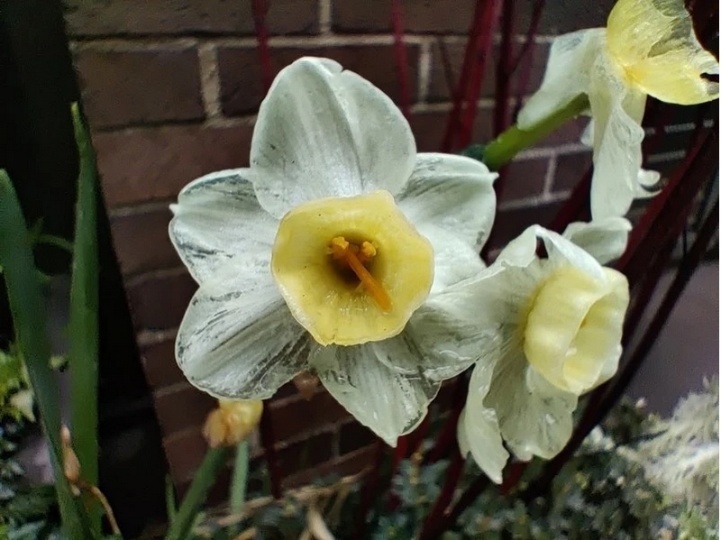 camera OnePlus 8 camera OnePlus 8
