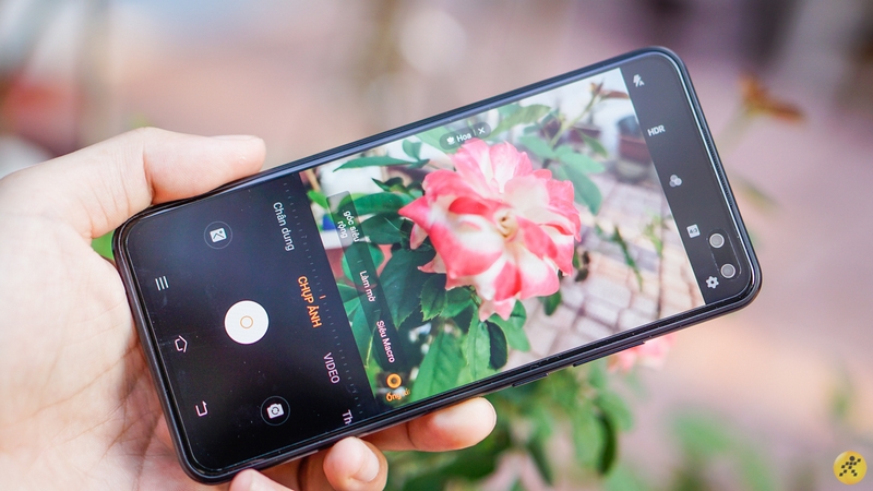 Màn hình Vivo V19 Màn hình Vivo V19