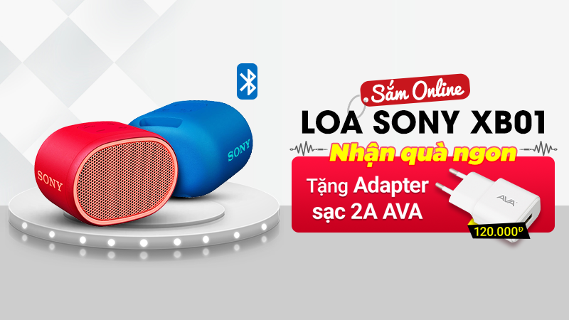 Mua loa Sony trúng adapter AVA