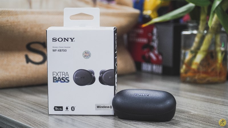 Hộp đựng tai nghe sony