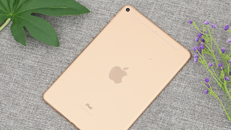 iPad Mini 7.9 inch Wifi Cellular 64GB (2019)