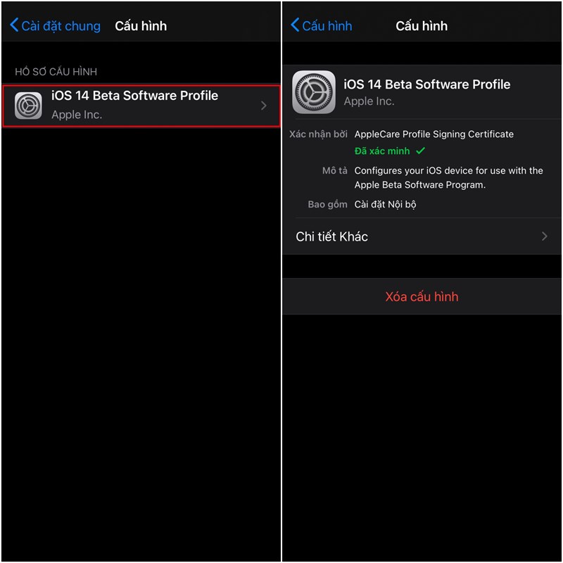 Hướng dẫn cách cập nhật lên iOS 14 Beta 3 với sự thay đổi quan trọng Hướng dẫn cách cập nhật lên iOS 14 Beta 3 với sự thay đổi quan trọng