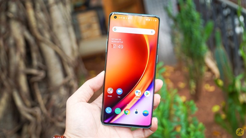 Màn hình hiển thị đẹp mắt của OnePlus 8 Pro