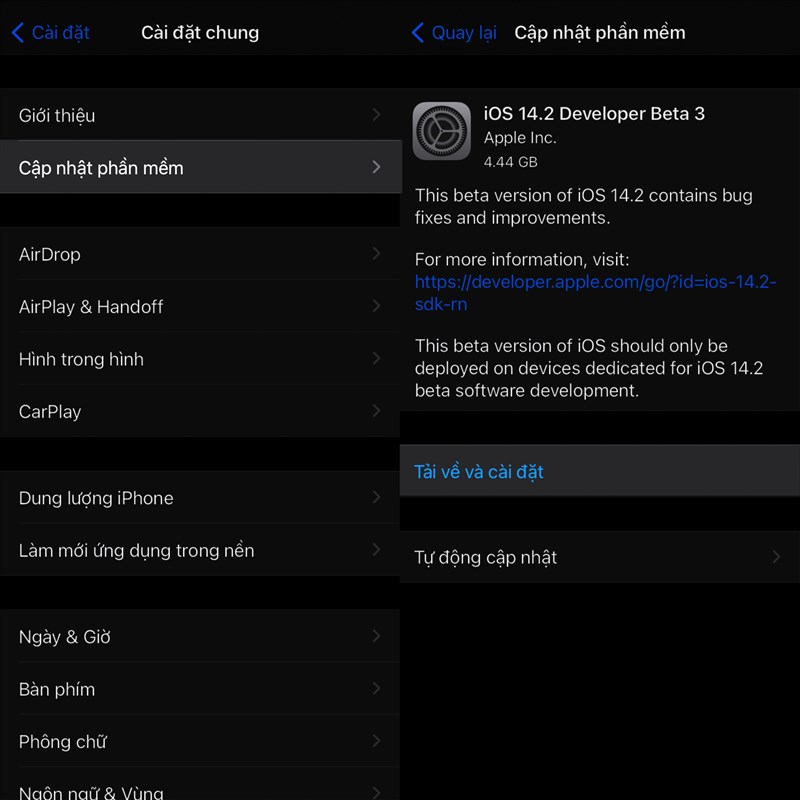 Cách cập nhật lên iOS 14.2 Beta 3 với nhiều khắc phục lỗi tốt hơn Cách cập nhật lên iOS 14.2 Beta 3 với nhiều khắc phục lỗi tốt hơn