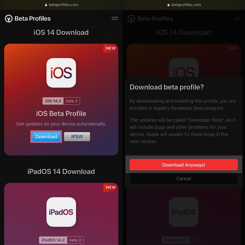 Cách cập nhật lên iOS 14.2 Beta 3 với nhiều khắc phục lỗi tốt hơn Cách cập nhật lên iOS 14.2 Beta 3 với nhiều khắc phục lỗi tốt hơn