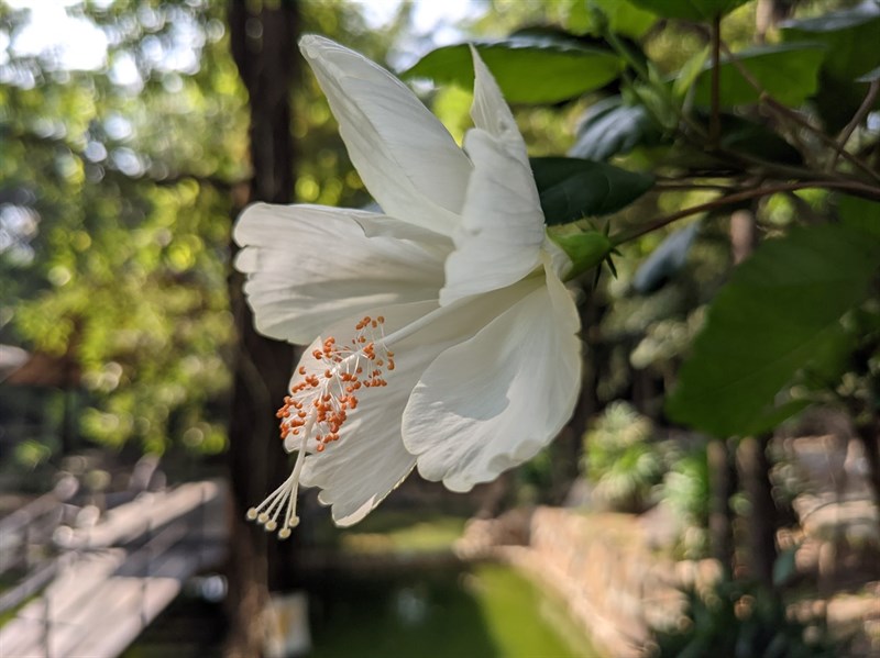 Cach-cai-Google-Camera-8-0-moi-nhat Cach-cai-Google-Camera-8-0-moi-nhat