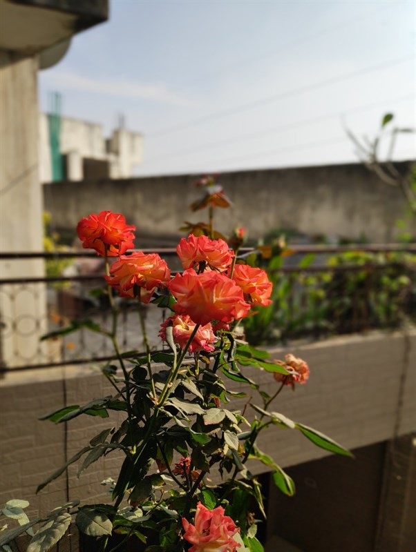 Cach-cai-Google-Camera-8-0-moi-nhat Cach-cai-Google-Camera-8-0-moi-nhat