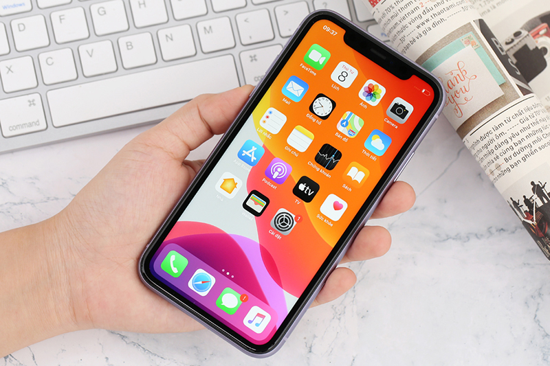 iPhone 11 iPhone 11