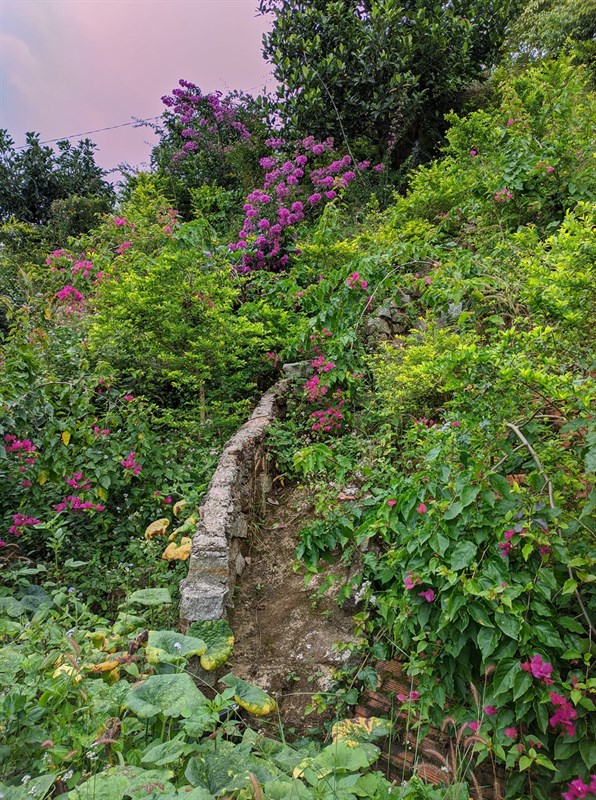 Cach-tai-Google-Camera-cho-dien-thoai-Android