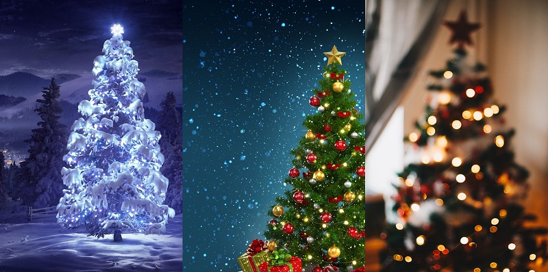 Christmas Tree Christmas Tree