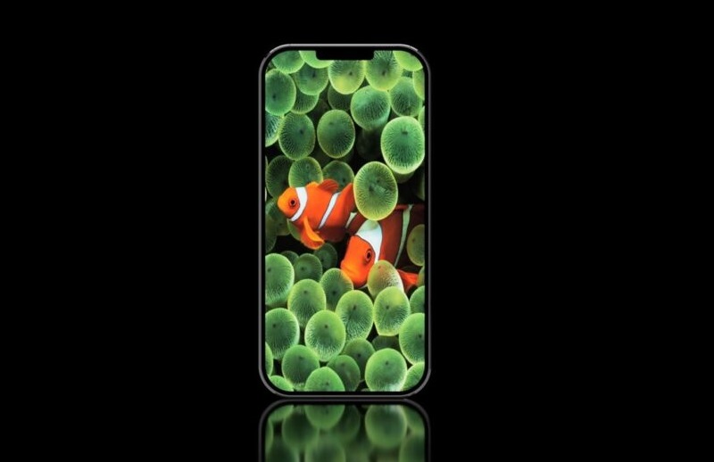 Chiêm ngưỡng mẫu thiết kế iPhone 13 Anniversary Edition với viền cạnh siêu mỏng, notch nhỏ gọn cùng mặt sau 2 tông màu độc đáo