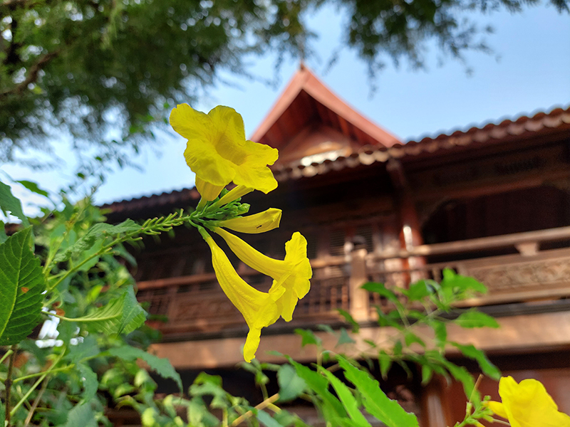 Đánh giá camera Samsung Galaxy A52