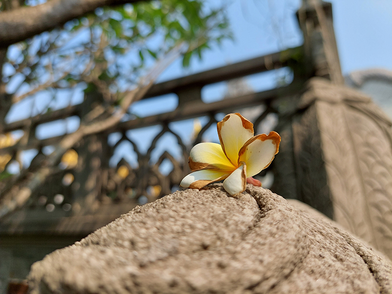 Đánh giá camera Samsung Galaxy A52