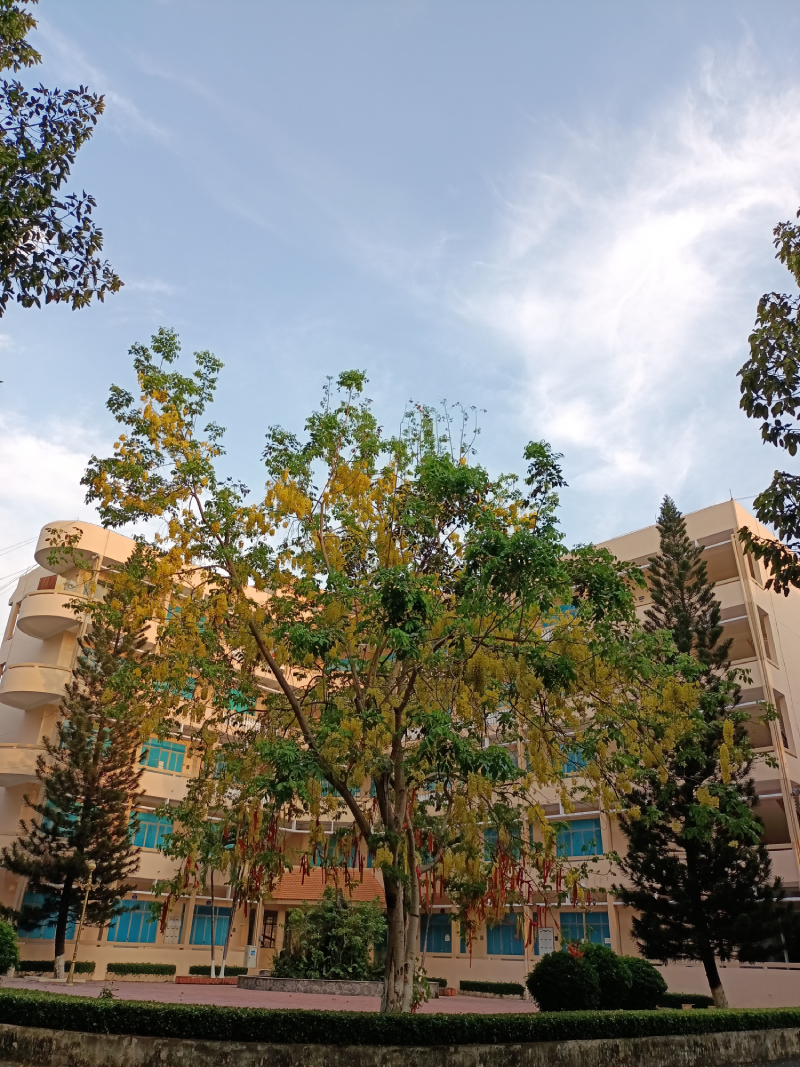 Ảnh chụp trong điều kiện ánh sáng đầy đủ Ảnh chụp trong điều kiện ánh sáng đầy đủ