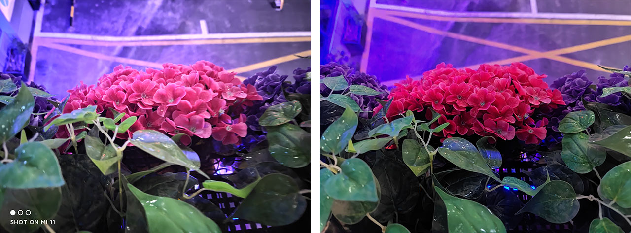 So sánh ảnh chụp tự động So sánh ảnh chụp tự động