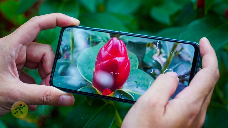 Camera macro giúp chụp ảnh cận cảnh như cây cỏ, lá hoa,... sắc nét, mang tính chất nghệ thuật cao Camera macro giúp chụp ảnh cận cảnh như cây cỏ, lá hoa,... sắc nét, mang tính chất nghệ thuật cao