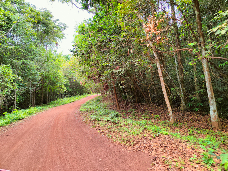 Đánh giá camera Realme 8 Pro