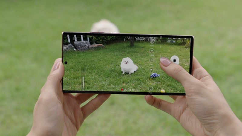 Galaxy Note 20 Series
