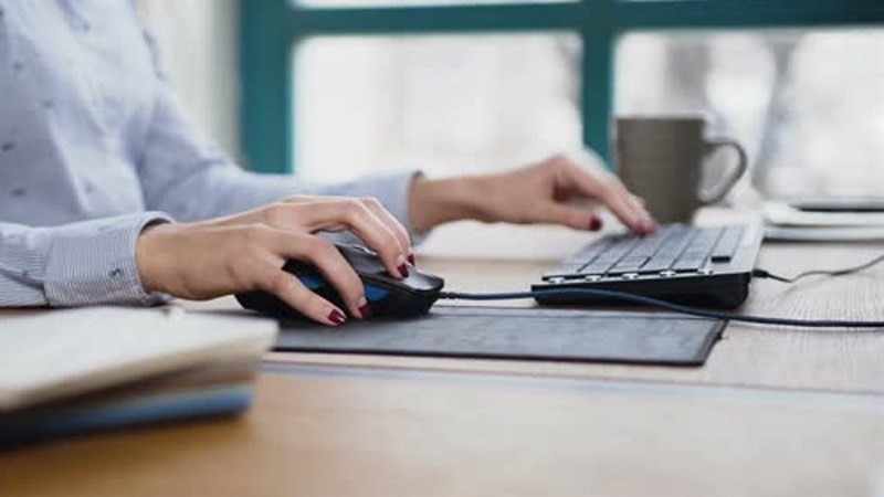 Hướng dẫn cách kiểm tra chuột chính xác Hướng dẫn cách kiểm tra chuột chính xác
