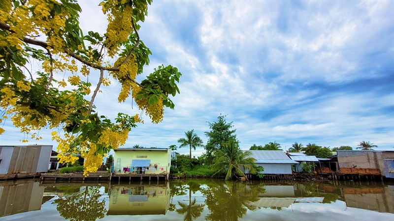 Ảnh chụp bằng chế độ tự động