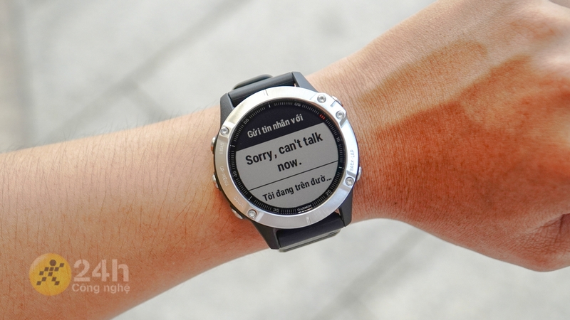 Garmin Fenix 6