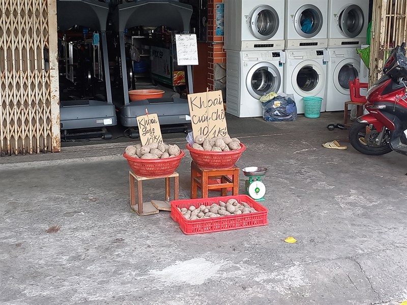 Bán khoai tây Bán khoai tây