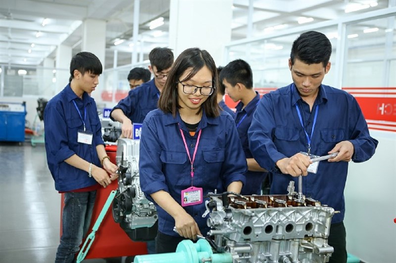 Sinh viên kỹ thuật Sinh viên kỹ thuật