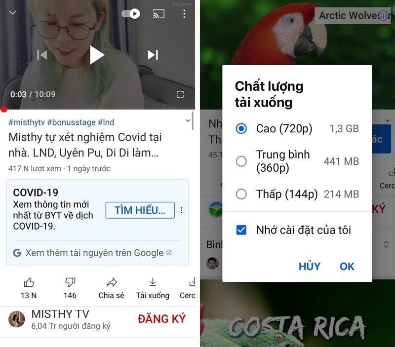 Cercube for YouTube v5.2.21