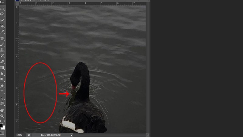 Cách xóa vùng chọn trong Photoshop Cách xóa vùng chọn trong Photoshop