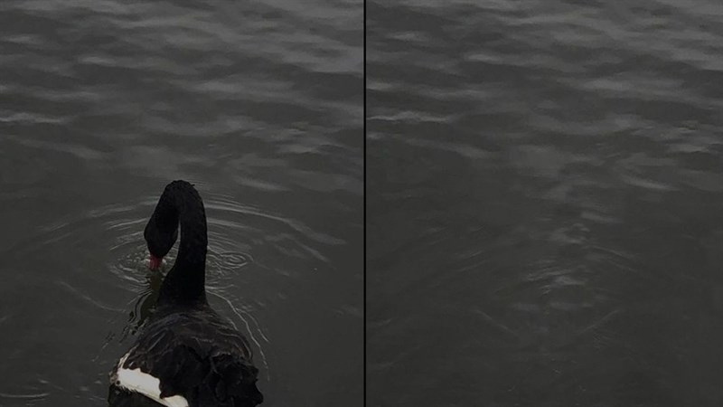 Cách xóa vùng chọn trong Photoshop Cách xóa vùng chọn trong Photoshop