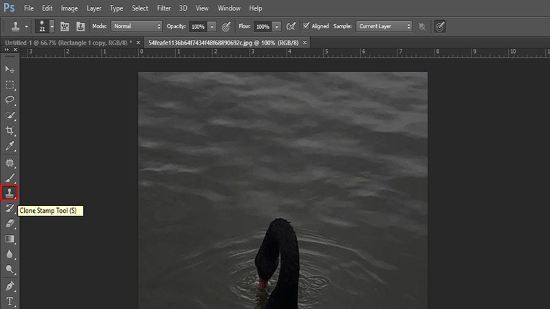 Cách xóa vùng chọn trong Photoshop Cách xóa vùng chọn trong Photoshop