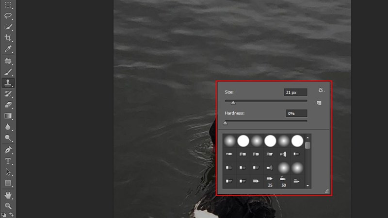 Cách xóa vùng chọn trong Photoshop Cách xóa vùng chọn trong Photoshop