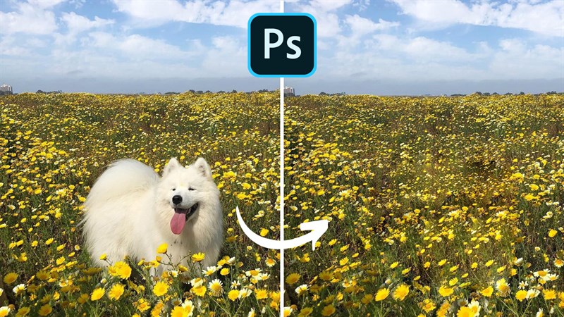 Cách xóa vùng chọn trong Photoshop Cách xóa vùng chọn trong Photoshop